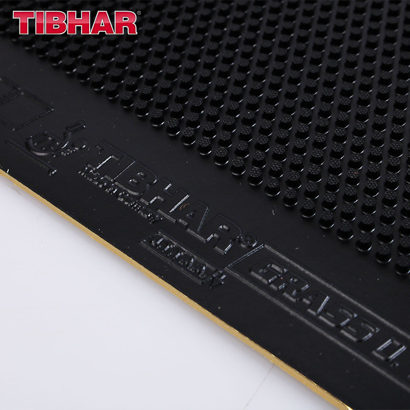TIBHAR GRASS D.TECS Table Tenn - огляд і ціна Table Tennis Rubber Anti Spin